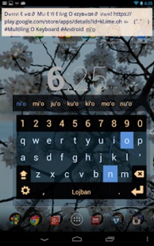 MultiLing 输入法10