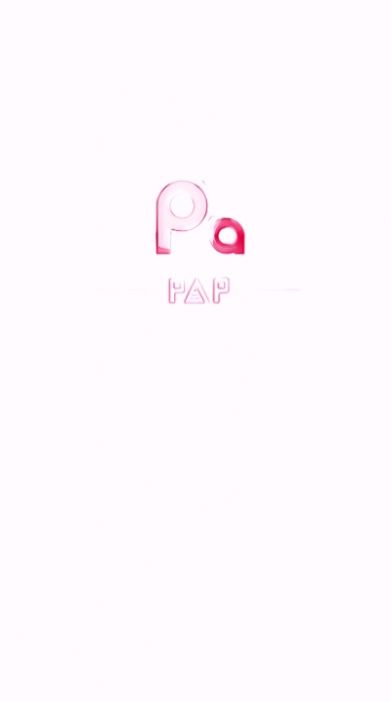 PAP区块链1