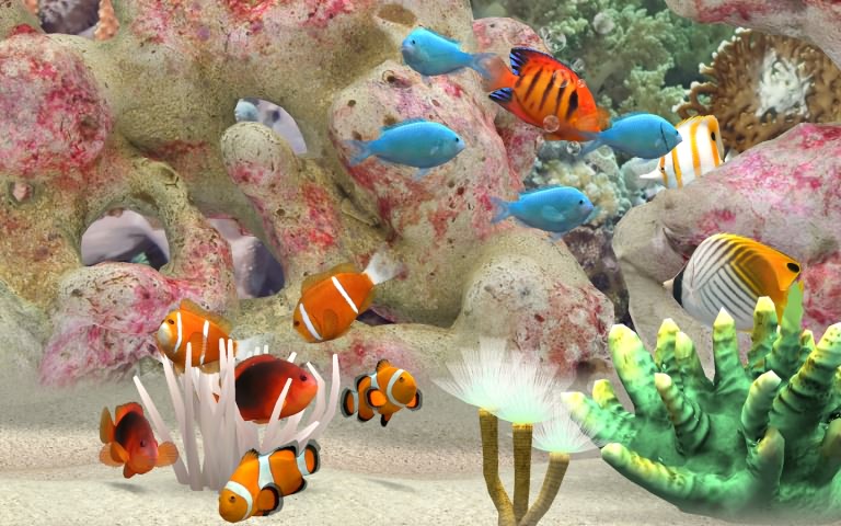 我的深海水族箱3D4