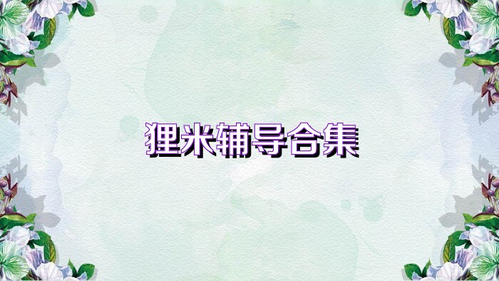 狸米辅导合集