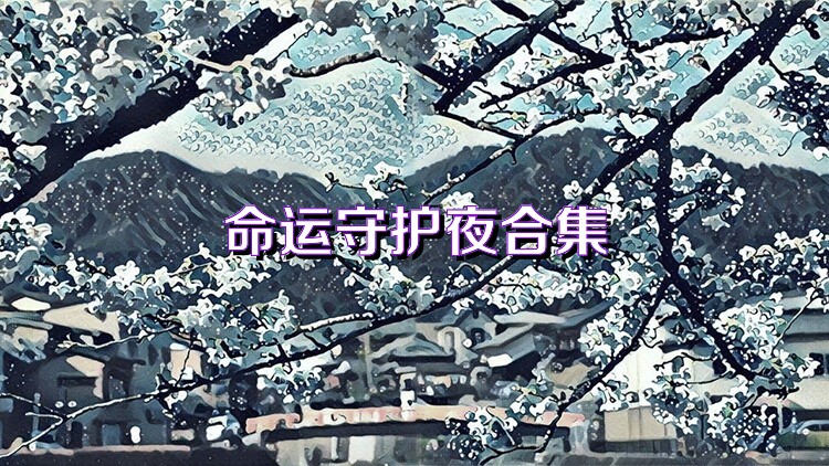 命运守护夜合集