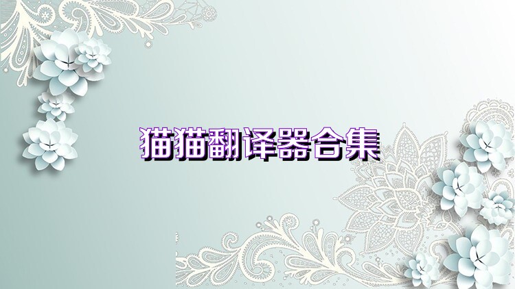 猫猫翻译器合集