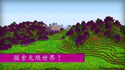 我的世界女孩版2