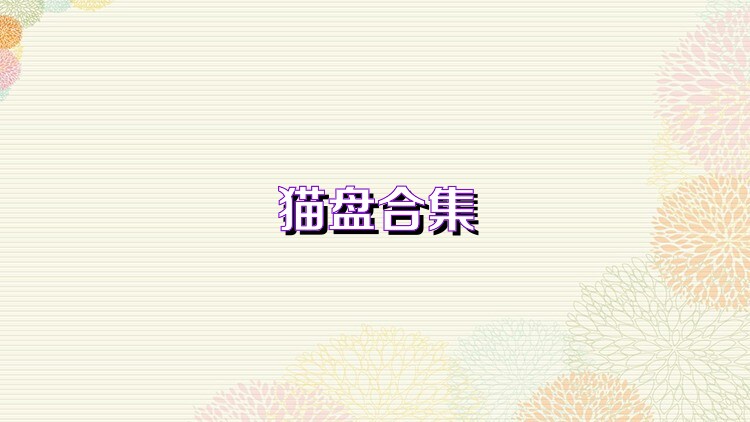 猫盘合集