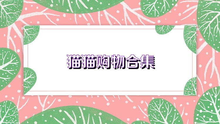 猫猫购物合集