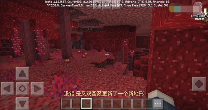 我的世界基岩版1.161