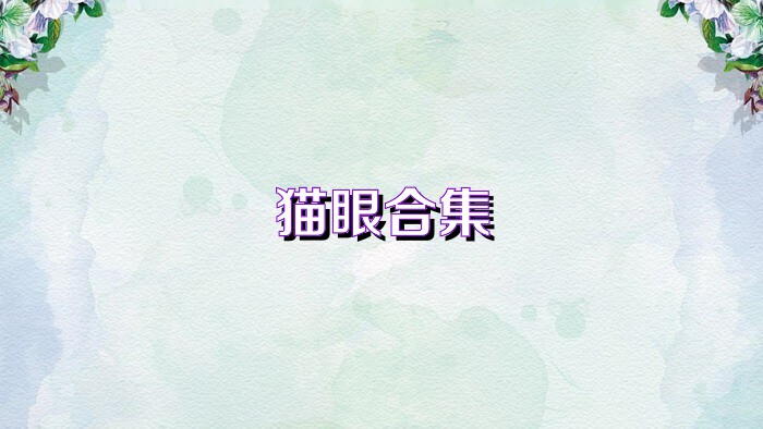 猫眼合集