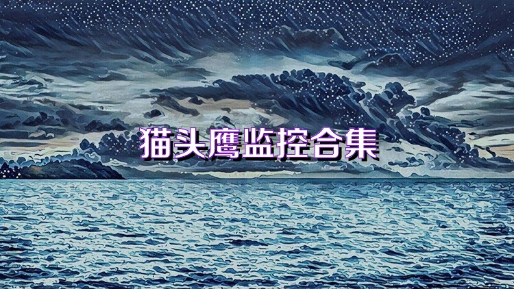 猫头鹰监控合集