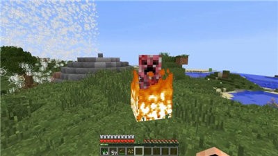 我的世界1.17.0.501