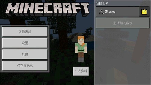 我的世界1.14国际版2