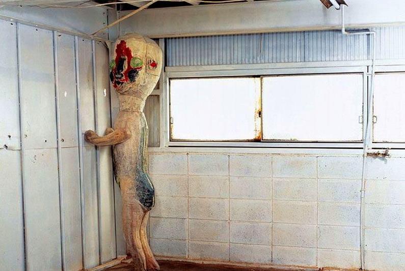 scp1731