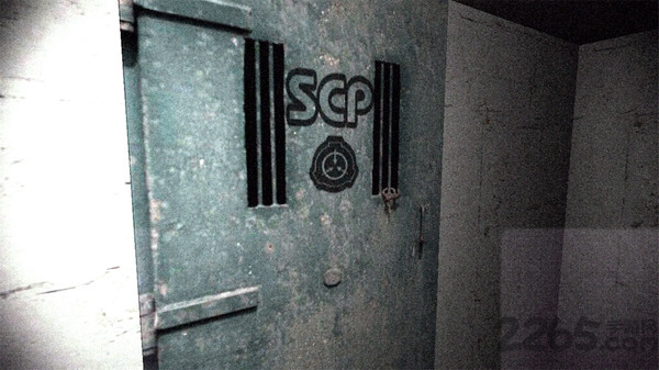 SCP0873