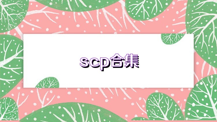 scp合集