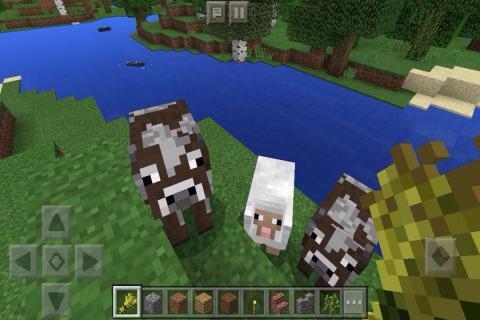 我的世界国际版手机版1.1.62