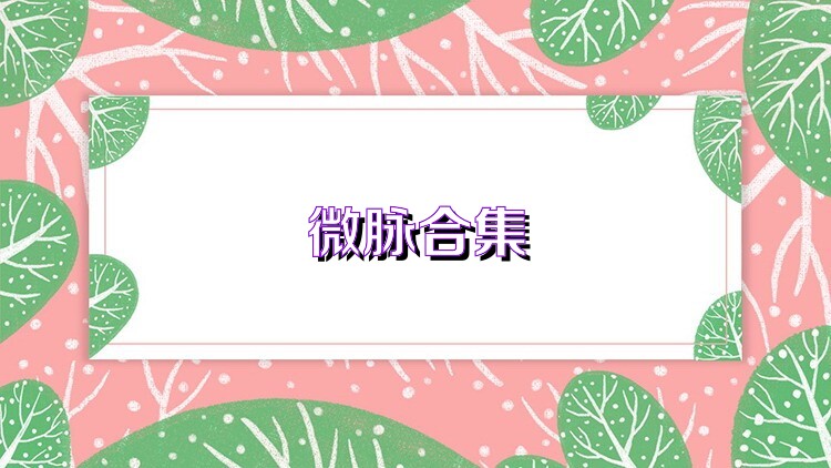 微脉合集