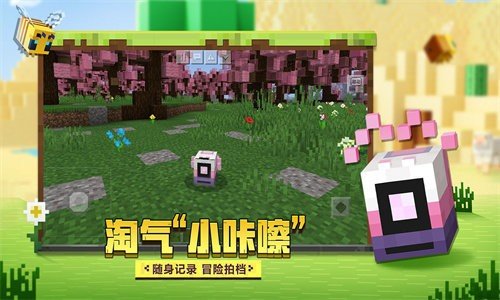 我的世界1.231