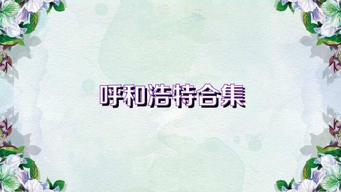 呼和浩特合集
