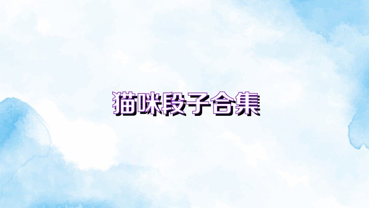 猫咪段子合集
