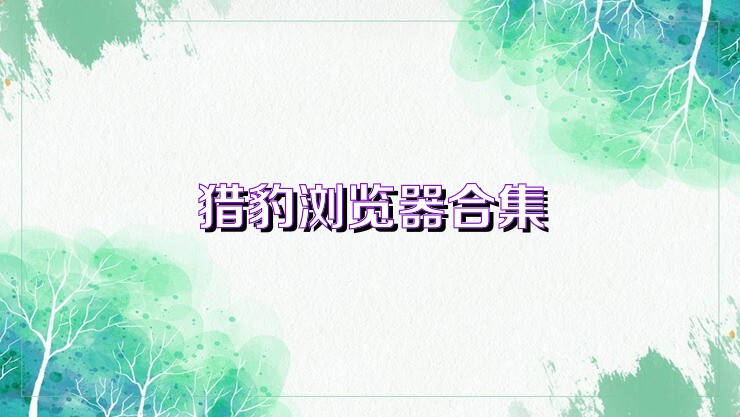猎豹浏览器合集
