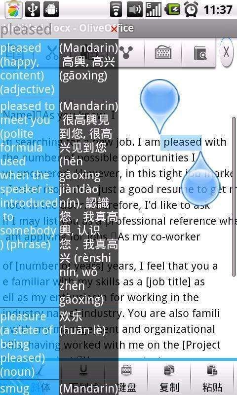 Olive词典2