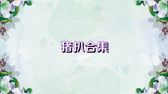 猪扒合集