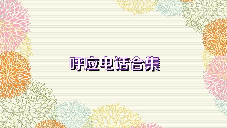 呼应电话合集