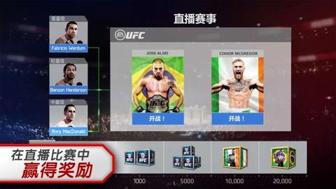 UFC 31