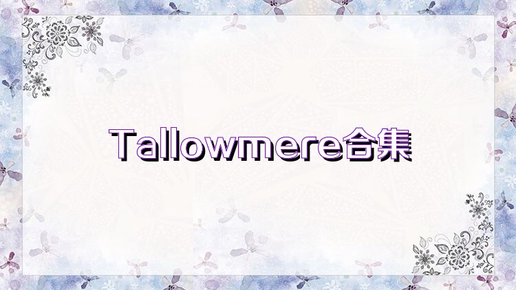 Tallowmere合集