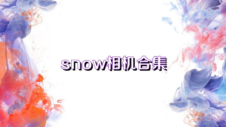 snow相机合集