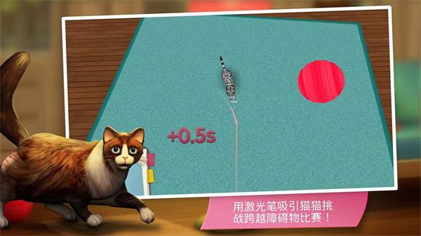 猫咪宾馆1