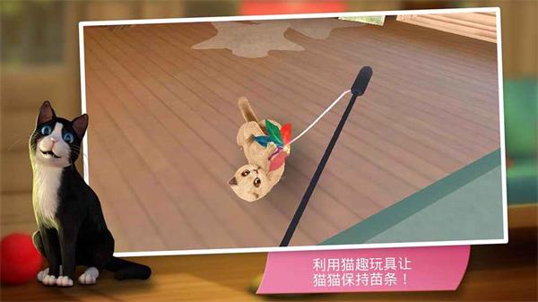 猫咪宾馆2