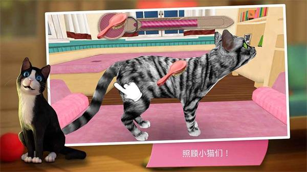 猫咪宾馆3