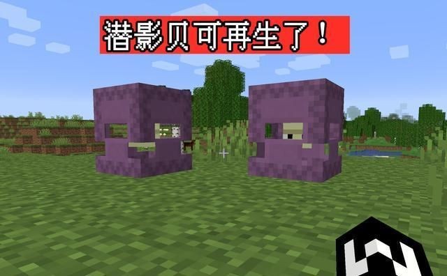 我的世界基岩版1.171
