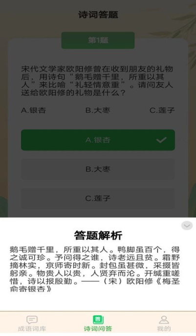 成语掌门人4
