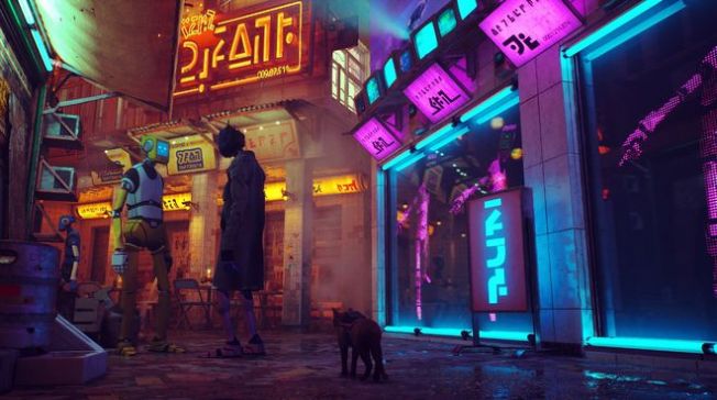 stray3