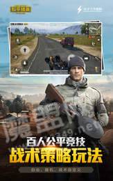 和平精英精简版1