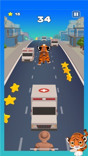 Tiger Run2