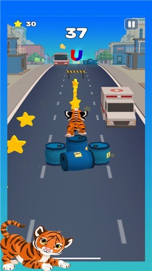 Tiger Run3