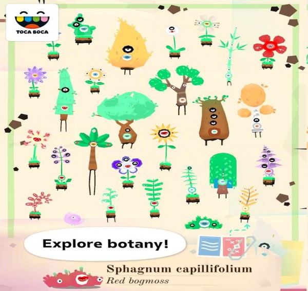 托卡实验室植物4