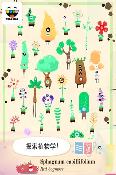 托卡实验室：植物5