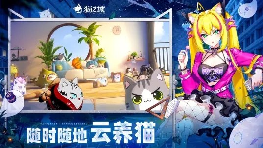猫之城5