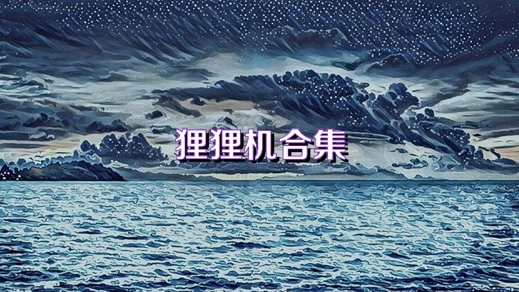 狸狸机合集