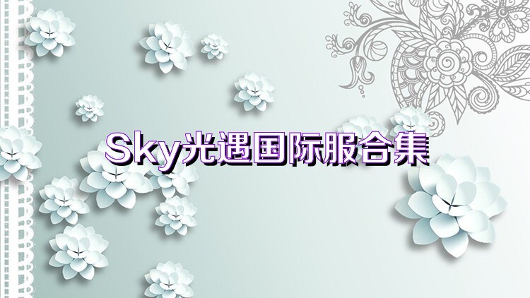 Sky光遇国际服合集