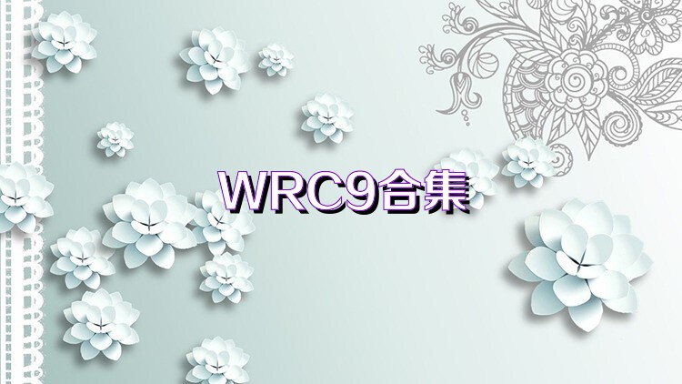 WRC9合集