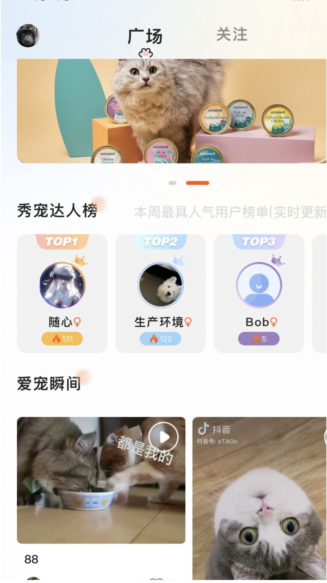 哆伽宠2