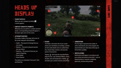 rdr2:companion5