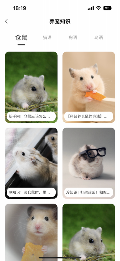 我的仓鼠日常苹果版1