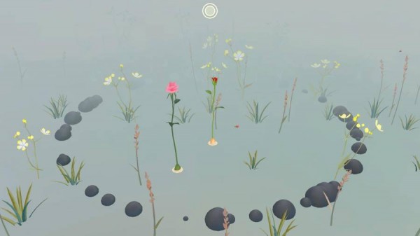 RosasGarden3