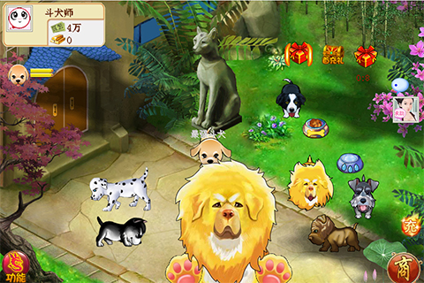 斗犬1