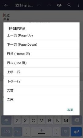 文本编辑器3